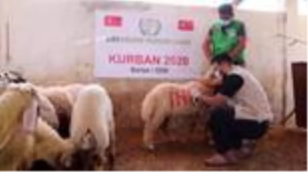 İHH, 4 milyonun üzerinde kişiye bayram sevinci yaşattı