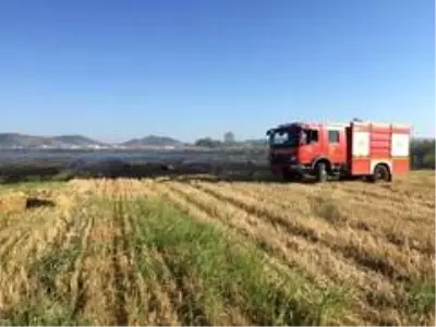 İzmir'de 100 zeytin ağacı ve 250 saman balyası kül oldu İzmir'de 100 zeytin ağacı ve 250 saman balyası kül oldu