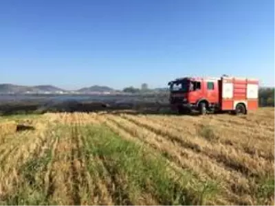 İzmir'de 100 zeytin ağacı ve 250 saman balyası kül oldu İzmir'de 100 zeytin ağacı ve 250 saman balyası kül oldu