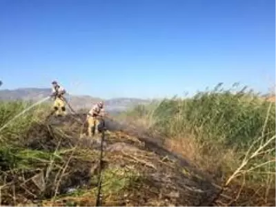 İzmir'de 100 zeytin ağacı ve 250 saman balyası kül oldu İzmir'de 100 zeytin ağacı ve 250 saman balyası kül oldu
