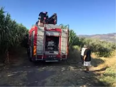 İzmir'de 100 zeytin ağacı ve 250 saman balyası kül oldu İzmir'de 100 zeytin ağacı ve 250 saman balyası kül oldu