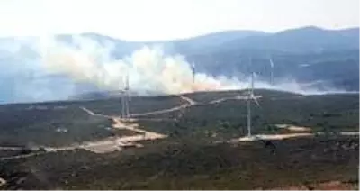 İzmir Seferihisar'da çıkan orman yangını kısmen kontrol altında İzmir Seferihisar'da çıkan orman yangını kısmen kontrol altında
