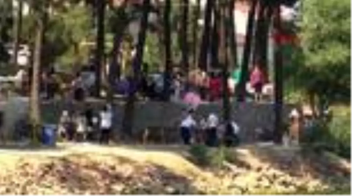 KURBANLIKLARINI KESENLER AYDOS ORMANI'NA KOŞTU