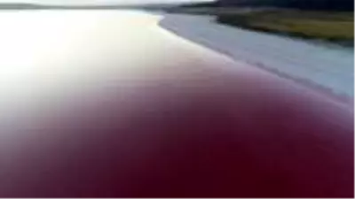 Pembeye bürünen doğa mucizesi Tuz Gölü, vatandaşın aklını başından aldı Pembeye bürünen doğa mucizesi Tuz Gölü, vatandaşın aklını başından aldı