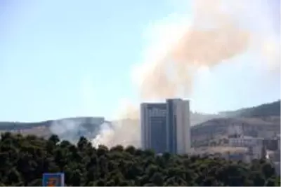 Şanlıurfa'da orman yangını