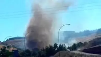Şanlıurfa'da orman yangını