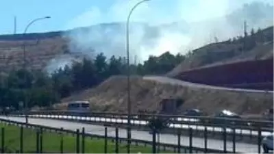 Şanlıurfa'da orman yangını