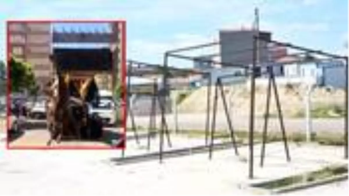 Tek ayağından iş makinesine asılı şekilde kesime götürüldü! O anlara tepki büyük