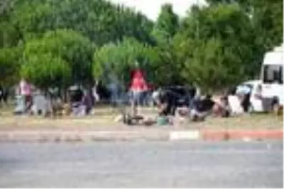 Tekirdağ sahillerine tatilci akını Tekirdağ sahillerine tatilci akını