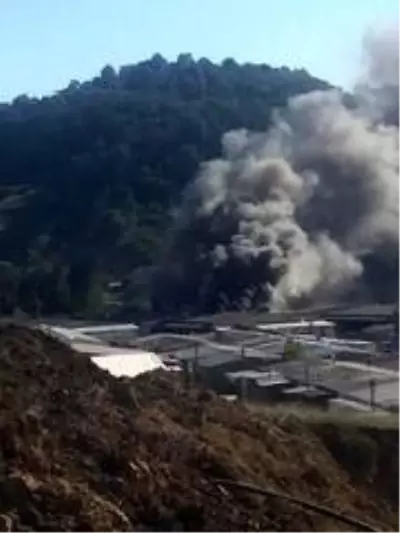Yalova'da korkutan yangın Yalova'da korkutan yangın