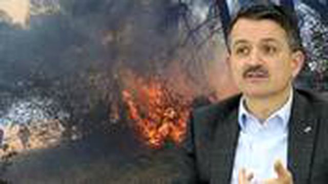 Yangınlarda sabotaj izi var mı? Bakan Pakdemirli canlı yayında yanıt verdi Yangınlarda sabotaj izi var mı? Bakan Pakdemirli canlı yayında yanıt verdi