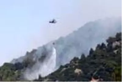 Ahmetli'deki yangında soğutma çalışmaları havadan ve karadan sürüyor Ahmetli'deki yangında soğutma çalışmaları havadan ve karadan sürüyor