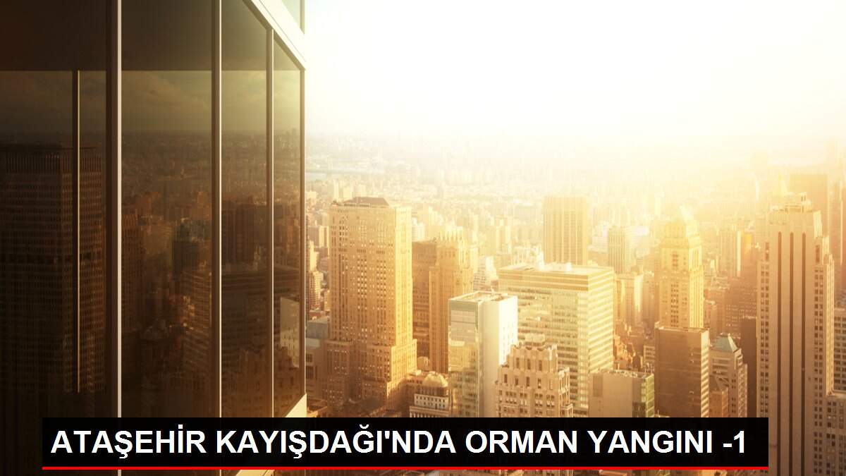 ATAŞEHİR KAYIŞDAĞI'NDA ORMAN YANGINI -1