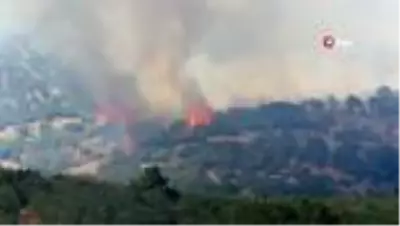 Ayvacık'taki yangın kontrol altına alındı
