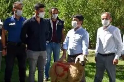 Belediye Başkanı tatlı yerine kurbanlık götürdü Belediye Başkanı tatlı yerine kurbanlık götürdü