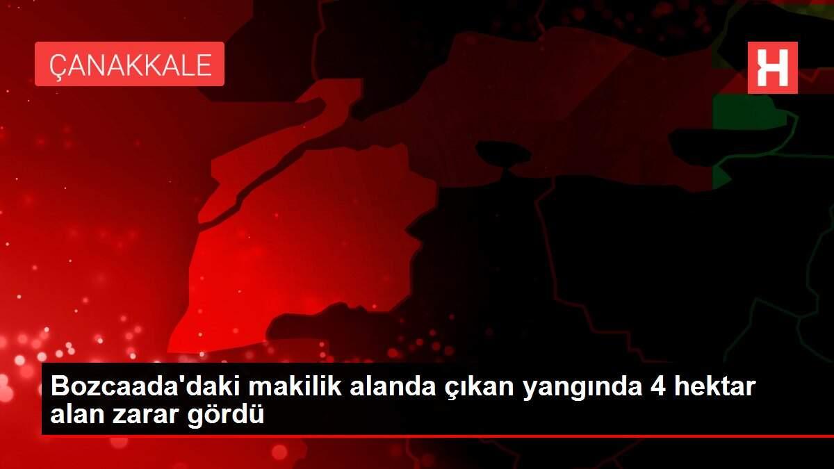 Bozcaada'daki makilik alanda çıkan yangında 4 hektar alan zarar gördü