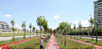 Çankaya'nın yeni parkları halkın hizmetinde