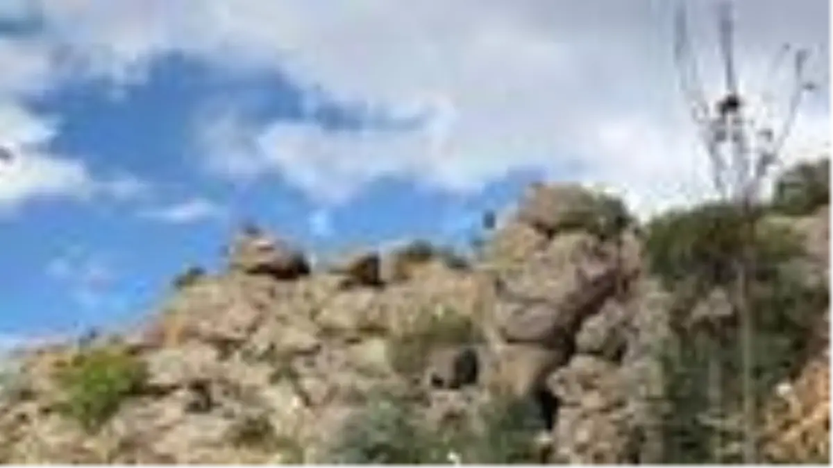 'Çeşnigir Köprüsü'ne tehlikeli seyir