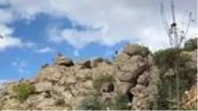 'Çeşnigir Köprüsü'ne tehlikeli seyir 'Çeşnigir Köprüsü'ne tehlikeli seyir