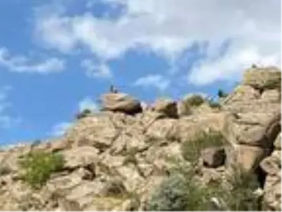 'Çeşnigir Köprüsü'ne tehlikeli seyir 'Çeşnigir Köprüsü'ne tehlikeli seyir