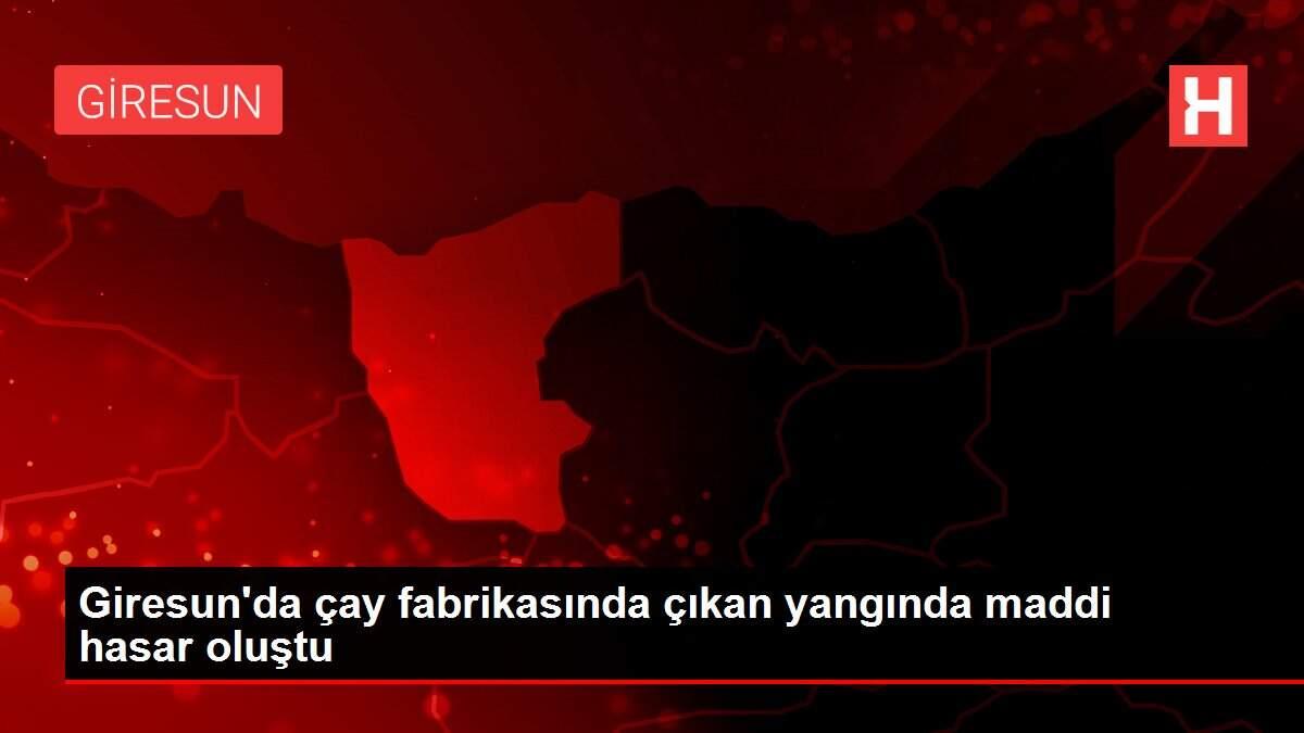 Giresun'da çay fabrikasında çıkan yangında maddi hasar oluştu Giresun'da çay fabrikasında çıkan yangında maddi hasar oluştu