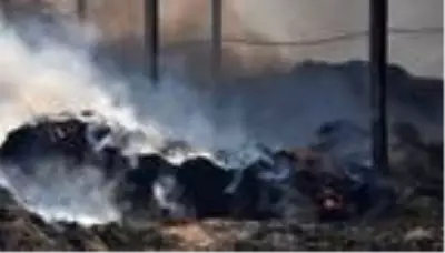 Hayvan çiftliğindeki yangında 300 ton saman ve 100 ton yonca kül oldu Hayvan çiftliğindeki yangında 300 ton saman ve 100 ton yonca kül oldu