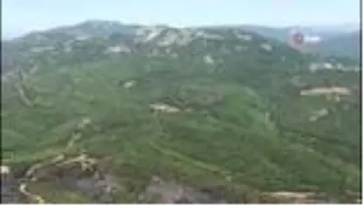 (İZMİR - detay) Bakan Pakdemirli açıkladı: Yangınla ilgili 1 gözaltı (İZMİR - detay) Bakan Pakdemirli açıkladı: Yangınla ilgili 1 gözaltı