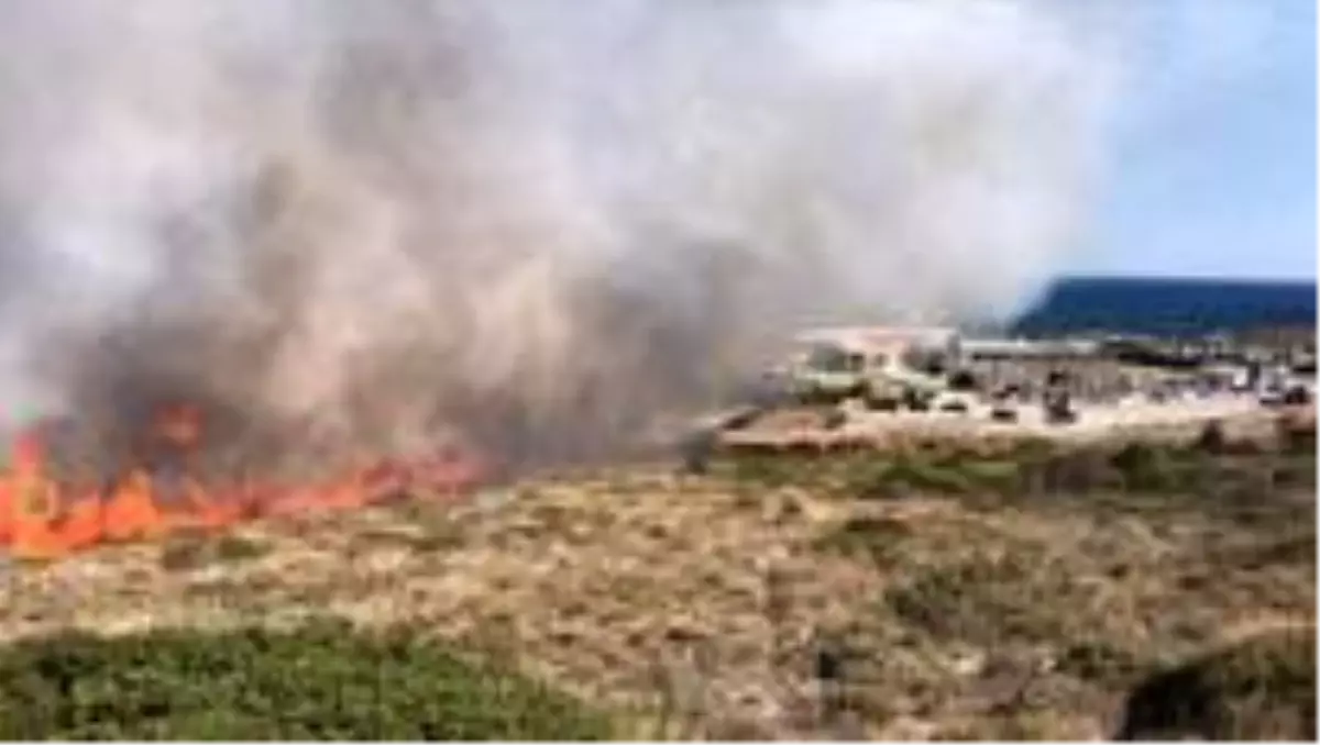 izmir yangini nerede cikti izmir yangininda ne oldu hangi onlemler alindi izmir yangini ne zaman cikti haberler