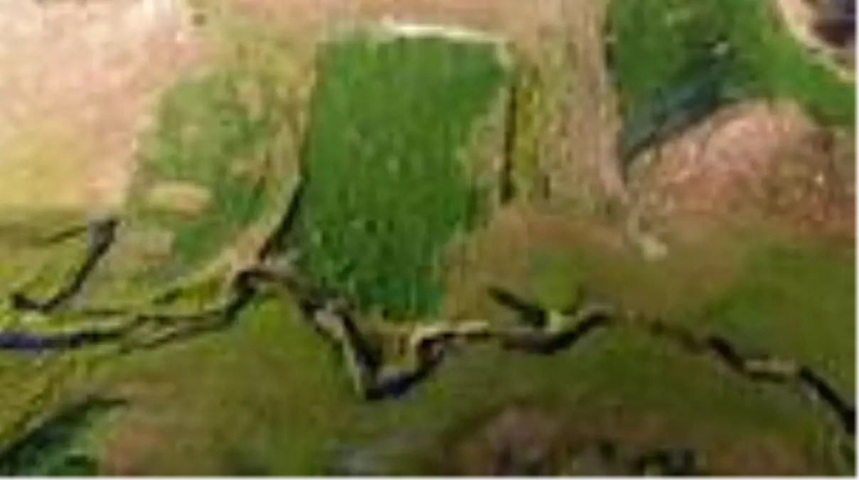 Kahramanmaraş'ta Karadeniz yaylalarını aratmayan görsel şölen