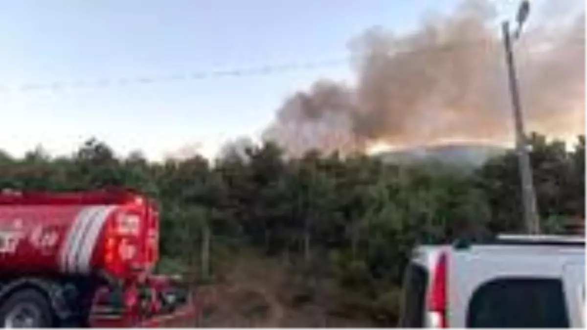 Kayışdağı'nda çıkan orman yangını kontrol altına alındı