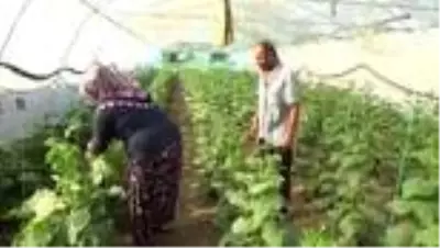 Omuz omuza veren çift, 17 yıldır ekmeklerini topraktan kazanıyor Omuz omuza veren çift, 17 yıldır ekmeklerini topraktan kazanıyor