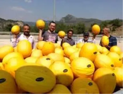 Osmaneli tarımda yaptığı yatırımlarının sonucunu alıyor Osmaneli tarımda yaptığı yatırımlarının sonucunu alıyor