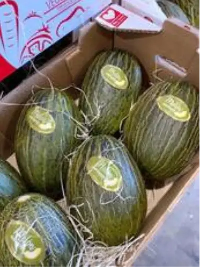 Osmaneli tarımda yaptığı yatırımlarının sonucunu alıyor Osmaneli tarımda yaptığı yatırımlarının sonucunu alıyor