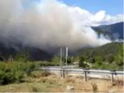 Sinop'ta 2 ilçedeki ormanlık alanlarda yangın Sinop'ta 2 ilçedeki ormanlık alanlarda yangın