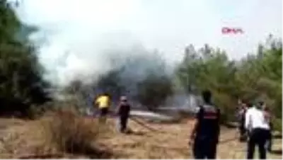 Sinop'ta 2 ilçedeki ormanlık alanlarda yangın Sinop'ta 2 ilçedeki ormanlık alanlarda yangın