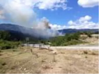 Sinop'ta 2 ilçedeki ormanlık alanlarda yangın Sinop'ta 2 ilçedeki ormanlık alanlarda yangın