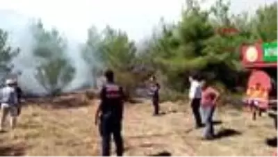 Sinop'ta 2 ilçedeki ormanlık alanlarda yangın Sinop'ta 2 ilçedeki ormanlık alanlarda yangın