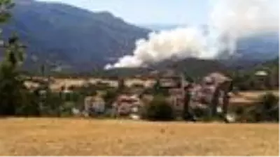 Sinop'ta 2 ilçedeki ormanlık alanlarda yangın Sinop'ta 2 ilçedeki ormanlık alanlarda yangın
