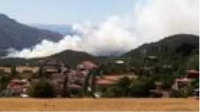 Sinop'ta 2 ilçedeki ormanlık alanlarda yangın Sinop'ta 2 ilçedeki ormanlık alanlarda yangın