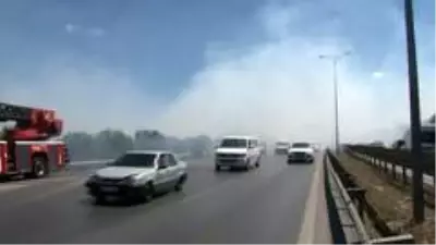 Yol kenarında çıkan yangında göz gözü görmedi Yol kenarında çıkan yangında göz gözü görmedi