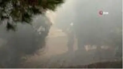 Yol kenarında çıkan yangında göz gözü görmedi Yol kenarında çıkan yangında göz gözü görmedi
