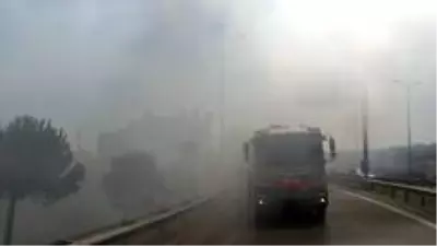 Yol kenarında çıkan yangında göz gözü görmedi Yol kenarında çıkan yangında göz gözü görmedi