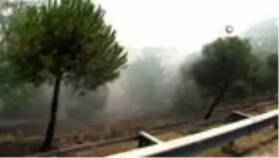 Yol kenarında çıkan yangında göz gözü görmedi Yol kenarında çıkan yangında göz gözü görmedi
