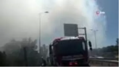 Yol kenarında çıkan yangında göz gözü görmedi Yol kenarında çıkan yangında göz gözü görmedi