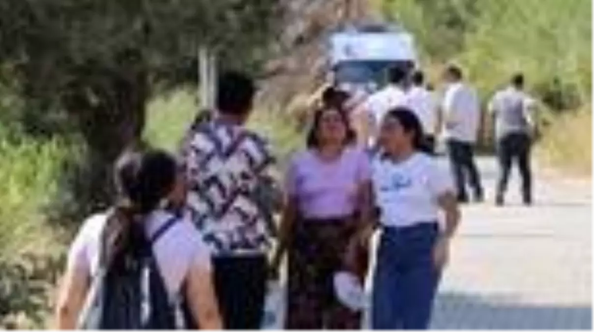 Zeytinlik ve incirlik alanda yangın çıktı