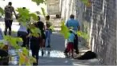 Genç kadın, bugün boşandığı eski eşi tarafından silahla vurularak öldürüldü Genç kadın, bugün boşandığı eski eşi tarafından silahla vurularak öldürüldü