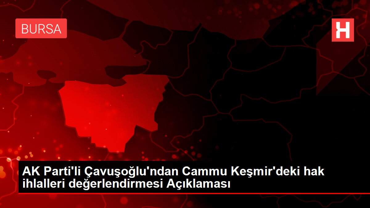 AK Parti'li Çavuşoğlu'ndan Cammu Keşmir'deki hak ihlalleri değerlendirmesi Açıklaması