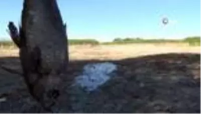 Akarsuyun kuruması ile çevre felaketi yaşandı Akarsuyun kuruması ile çevre felaketi yaşandı