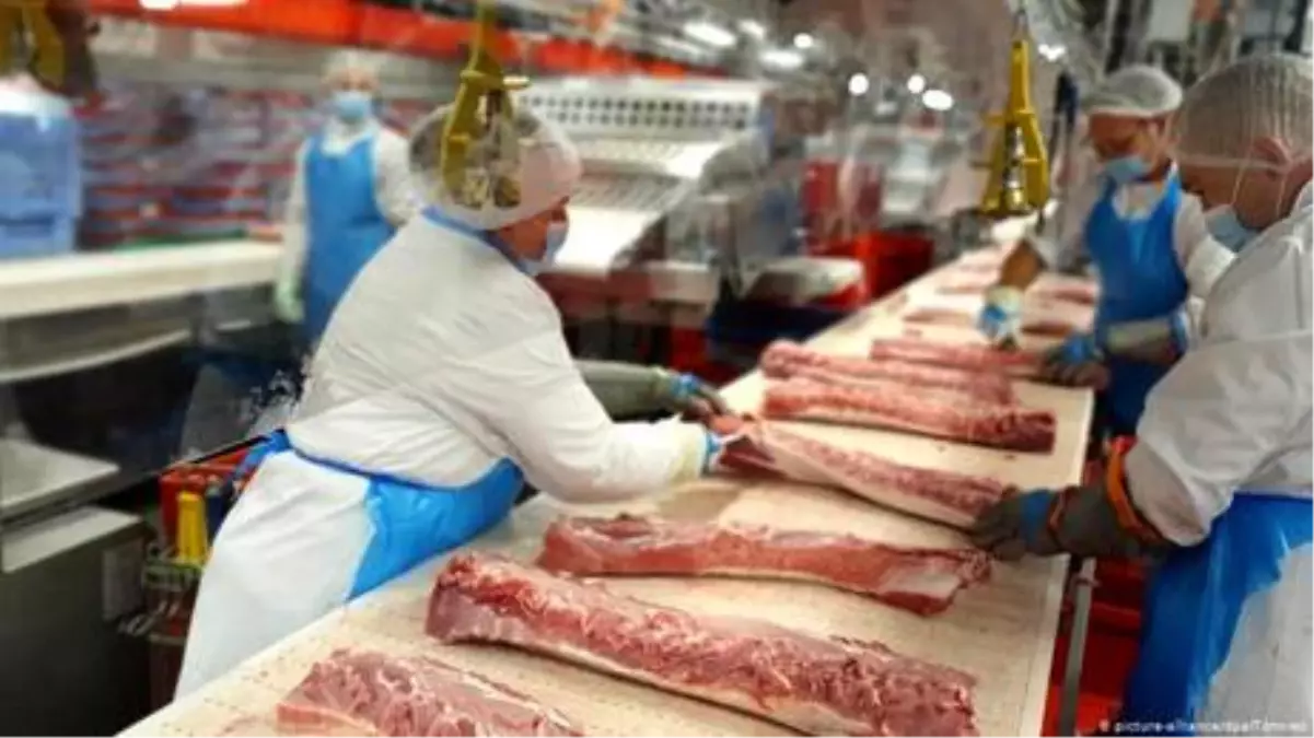 Almanya'da sömürülen mevsimlik ve sözleşmeli işçiler