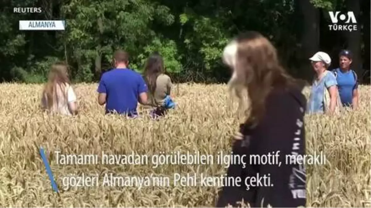 Almanya'da Tarlada Ortaya Çıkan Gizemli 'Ekin Çemberi'